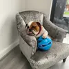 Rosie❤️⚽️ - @ajhealysmith - TikTok
