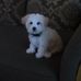 Aj Hobbs - Facebook