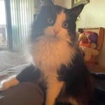Amber Jo - @ajheil2000 - Instagram