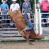 Ajhelton_99 - @ajhelton99 - TikTok