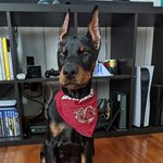 Archer Hendrix - @a.j_hendrix - Instagram