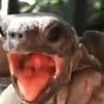 aj herbert - @twitch_aj2k68 - Instagram