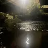 Aj Hernandez - @ajhernandez259 - TikTok