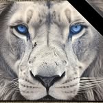 Andy Hill - @ajh.ill - Instagram