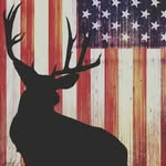 Aj Hines - @dudeperfect10x - Instagram