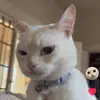 Aj Hofer - @ajhofer6 - TikTok