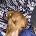 Aj Holmes - Facebook