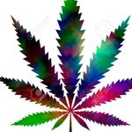 aj holmes - @aj_holmes_420 - Instagram
