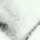 Allie - @aj_hood_ - TikTok