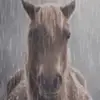AJHull_06 - @ajhull_06 - TikTok