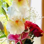 AJ Hyatt - @ajhyatt_official - Instagram