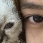 aj - @ajibanezzz - Instagram