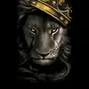 Aj Jacobs - @aj.jacobs23 - TikTok