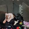 aj_jacobson - @aj_jacobson - TikTok
