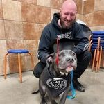 AJ Janssen - @janssenaj - Instagram