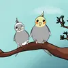 AJ & Jasper - @ajandjasper - TikTok