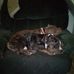 AJ Jasso - Facebook