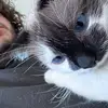 AJ - @ajjenesse - TikTok