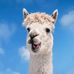 AJ Jessup - Facebook