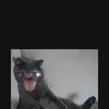 ajjohn924 - @ajjohn924 - TikTok