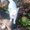 a-j Juan - @aj.juan83 - TikTok
