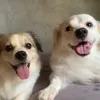 Aj Juarez - @ajjuarez08 - TikTok
