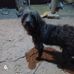 Aj Juarez - Facebook
