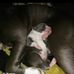 Aj Keene - Facebook