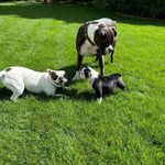 Andrew Keesee - @a.j._keesee - Instagram