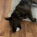Aj Kehoe - Facebook