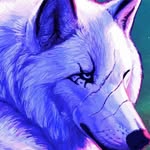 AJ Kelley - @mrbluewolf55 - Instagram