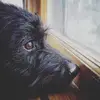 AJ Skelton - @aj.skelton - TikTok