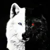 ajkirk882 - @ajkirk882 - TikTok