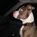 AJ Knox - Facebook