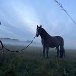 André Krüger - @aj.kruger.12 - Instagram