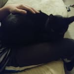 aj - @aj.lamm - Instagram