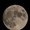 Aj Lamm - @aj.lamm - TikTok