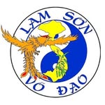 lam son vo dao corse - @lamsonvodaoajaccio - Instagram