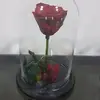 Ajland - @euronabujupi - TikTok