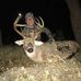 AJ Landrigan - Facebook