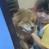 Aji Langford - @aji.langford - TikTok