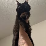 Aj cal lawson - @ajcallawson - Instagram