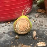 AJ Layton - @landartseapoetry - Instagram
