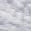 AJLeaf10 - @ajleaf10 - TikTok
