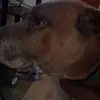 Aj Ledesma - @aj.ledesma2 - TikTok