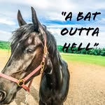 AJ&Lilly - @the.bat.outta.hell - Instagram