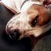 AJ Lindner - Facebook