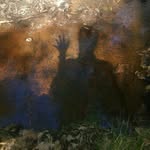 Antonia J. Lindner - @a.j.lindner_arts - Instagram