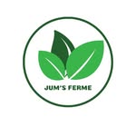AJ Little Farm - @ajlittlefarm - Instagram