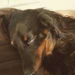 David Martin - @littlemanajax - Instagram